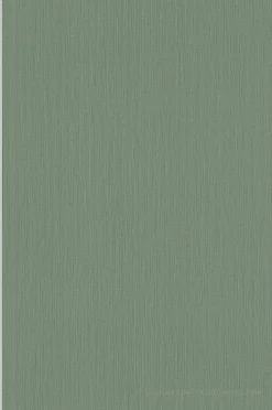 Papier peint vinyle sur intissé Uni L.10.05 x l.0.53 m. - Réf. AS-399874