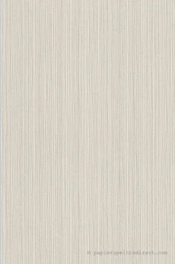 Papier peint vinyle sur intissé Uni L.10.05 x l.0.53 m. - Réf. AS-388193
