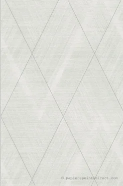 Papier peint vinyle sur intissé Géométrique L.10.05 x l.0.53 m. - Réf. AS-388243