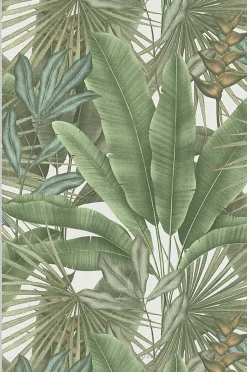 Papier peint vinyle sur intissé Jungle L.10.05 x l.0.53 m. - Réf. AS-396472