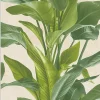 Papier peint vinyle sur intissé Nature L.10.05 x l.0.53 m. - Réf. SP15498