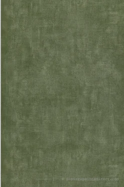 Papier peint vinyle sur intissé Uni L.10.05 x l.0.53 m. - Réf. LTC-11230914