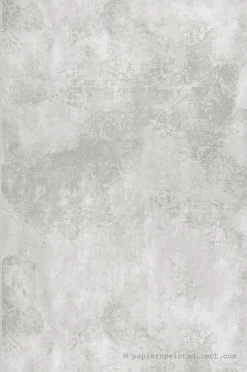 Papier peint vinyle sur intissé Trompe l'oeil L.10.05 x l.0.53 m. - Réf. MC-IC1205