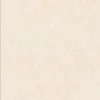 Papier peint vinyle sur intissé Contemporain L.10.05 x l.0.53 m. - Réf. AS-392233