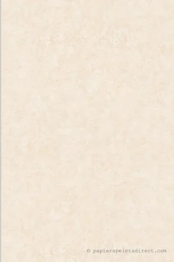 Papier peint vinyle sur intissé Contemporain L.10.05 x l.0.53 m. - Réf. AS-392233