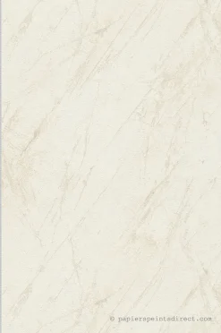 Papier peint vinyle sur intissé Contemporain L.10.05 x l.0.53 m. - Réf. AS-388171