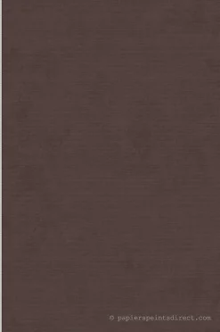 Papier peint vinyle sur intissé Uni L.10.05 x l.0.53 m. - Réf. LTC-51233128
