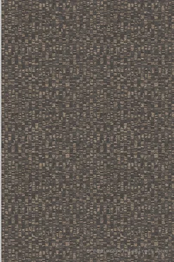 Papier peint vinyle sur intissé Contemporain L.10.05 x l.0.53 m. - Réf. SP15937