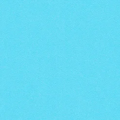 Papier peint vinyle sur papier duplex Wampi blanc