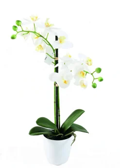 Phalaenopsis artificiel en pot fleurs blanches déco