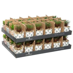 Plante artificielle - pot imprimé en porcelaine - H9 cm - Noir- Atmosphera