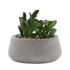 Plante artificielle en pot effet béton H.12cm Ornami
