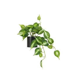 Plante artificielle tombante pothos 50cm