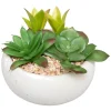 Plante grasse artificielle - pot en ciment - H10 cm - Noir- Atmosphera