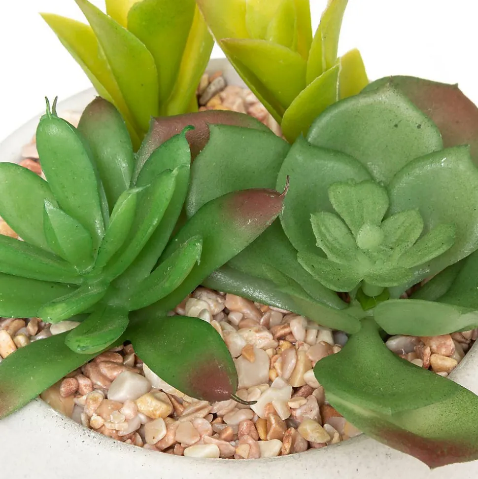 Plante grasse artificielle - pot en ciment - H10 cm - Noir- Atmosphera