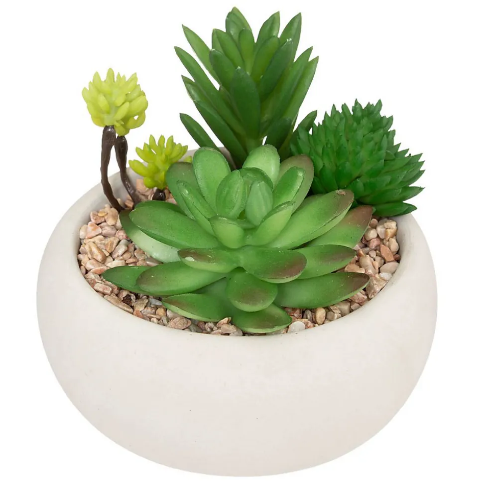 Plante grasse artificielle - pot en ciment - H10 cm - Noir- Atmosphera