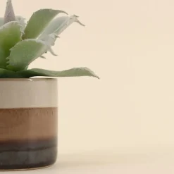 Plante grasse artificielle pot céramique rayé 12cm