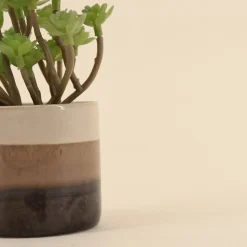 Plante grasse artificielle pot céramique rayé 13cm