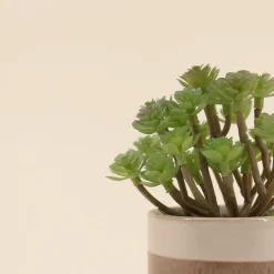 Plante grasse artificielle pot céramique rayé 13cm