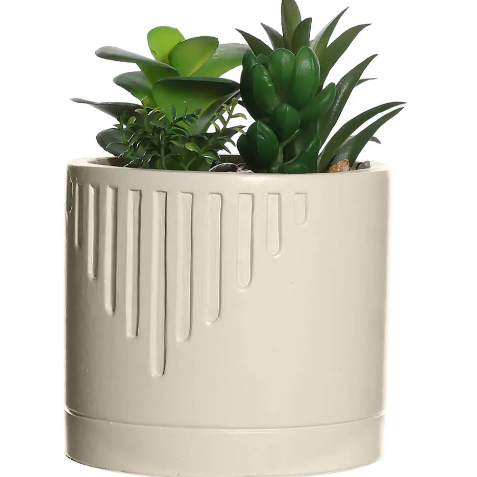 Plante grasse artificielle en pot Ornami l.10 x H. 19,5 cm blanc