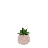 Plante grasse artificielle pot en céramique 13x10cm