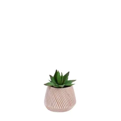 Plante grasse artificielle pot en céramique 13x10cm