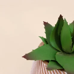 Plante grasse artificielle pot en céramique 13x10cm