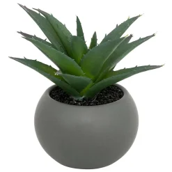Plante grasse en pot H13- Blanc- Atmosphera
