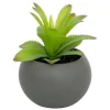 Plante grasse en pot H13- Gris- Atmosphera