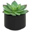 Plante grasse en pot H13- Noir- Atmosphera