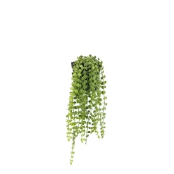 Plante succulente retombante artificielle 40cm