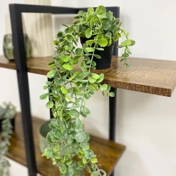 Plante succulente retombante artificielle 50cm lot de 2