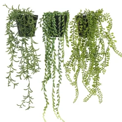 Plante succulente retombante artificielle 40/60cm lot de 3