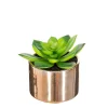 Plante verte pot céramique H.15- Multicolore- Atmosphera