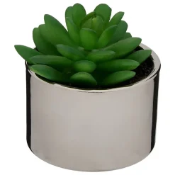 Plante verte pot céramique H.15- Multicolore- Atmosphera