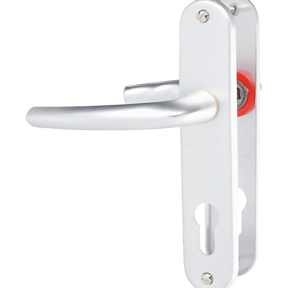 Poignée de porte d'entrée - San diego - Hoppe Et Cie - Gris argent - Clé I - 165 mm