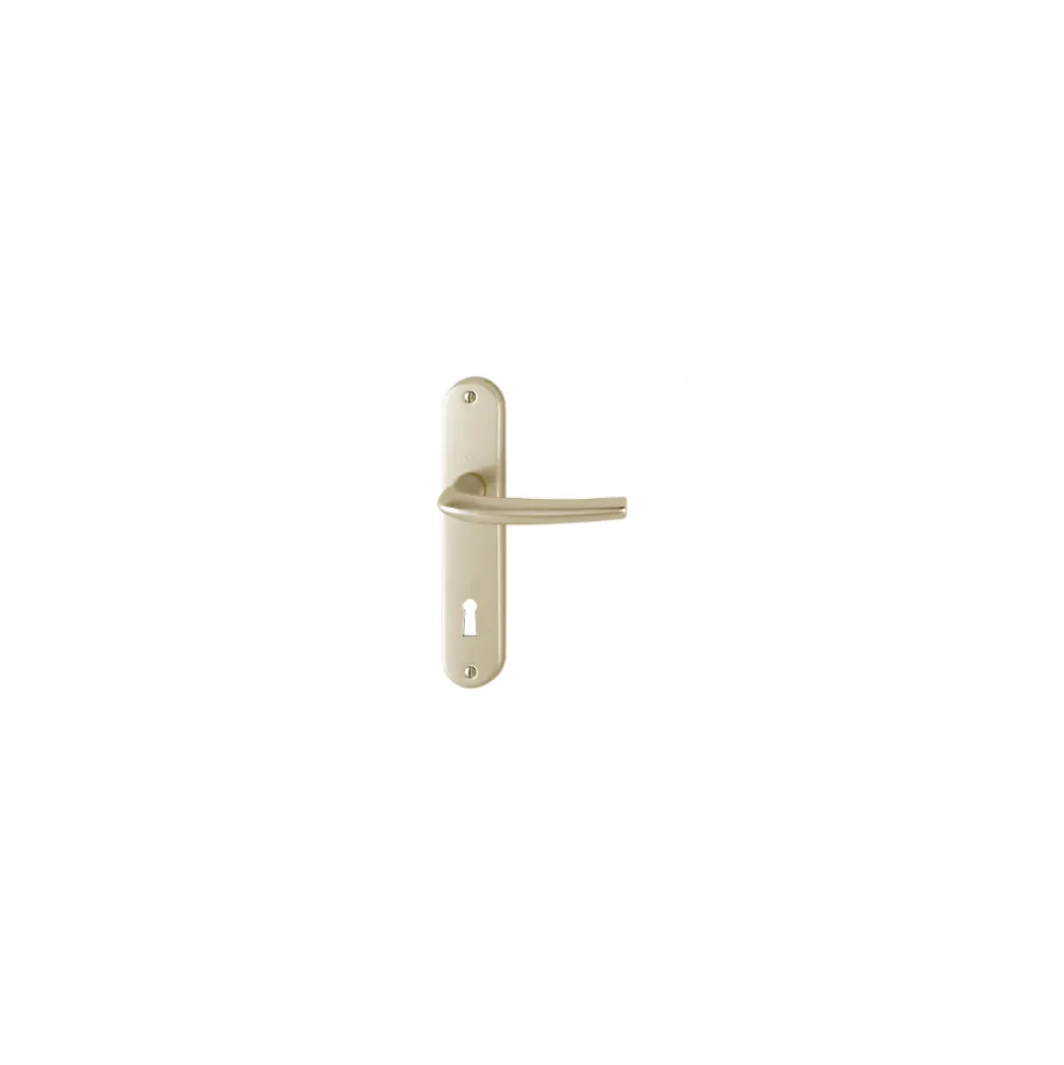 Poignée de porte d'entrée - San diego - Hoppe Et Cie - Gris argent - Clé I - 165 mm