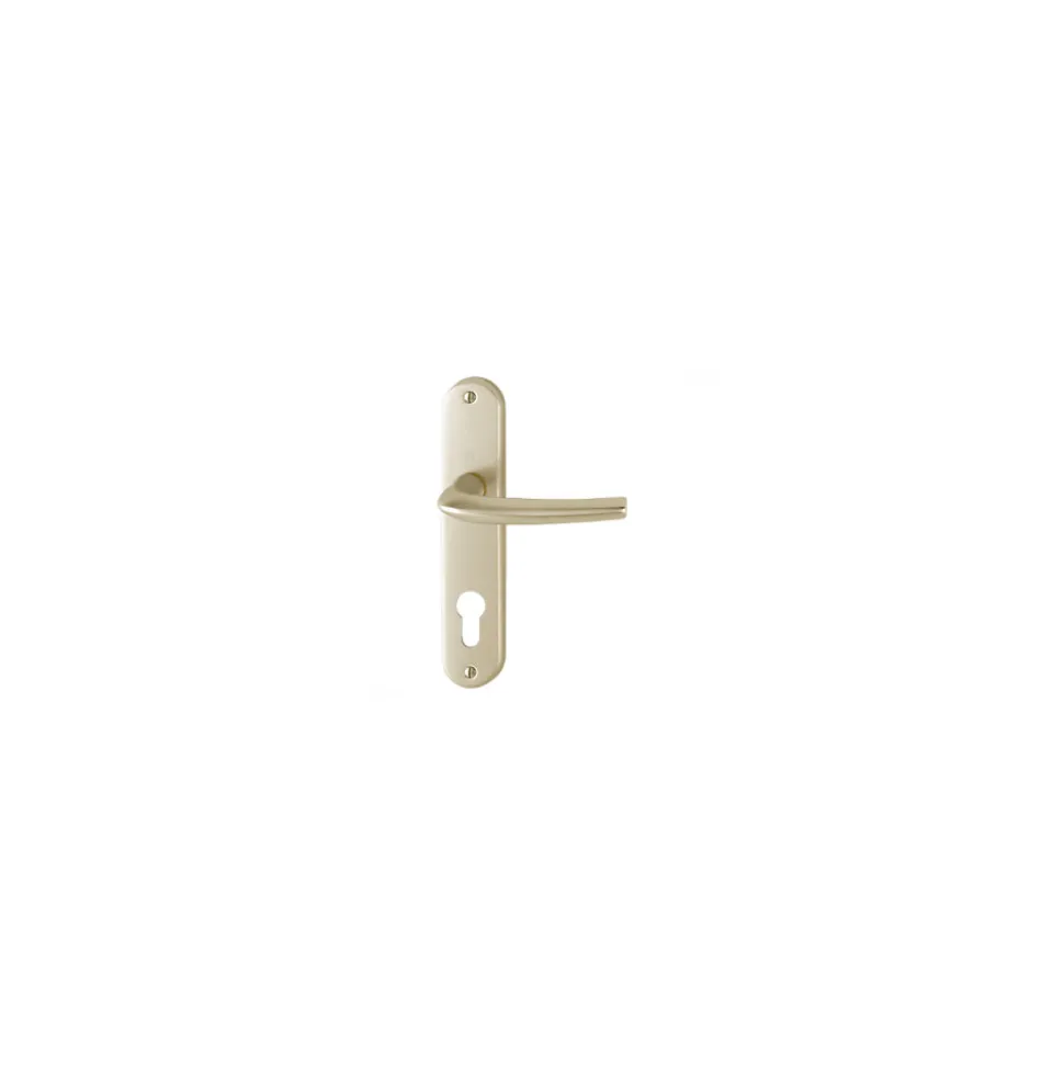 Poignée de porte d'entrée - San diego - Hoppe Et Cie - Gris argent - Clé I - 165 mm
