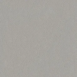 Poignée de porte d'intérieur Premium chrome Cuir Argile à cylindre