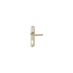 Poignée de porte intérieure - San diego - Hoppe Et Cie - Gris argent - Bec de cane - 165 mm