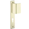 Poignée pour porte d'entrée palière renforcée Picardie trou de cylindre, carré 7mm, entr'axes 195mm, couleur champagne - THIRARD
