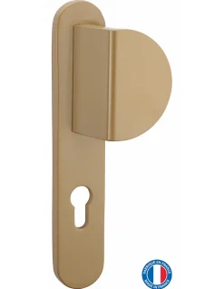 Poignée Targa A2P pour porte palière, réversible, or - THIRARD