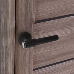 Poignées de porte sur rosace ronde noir mat industriel - Modèle Ema