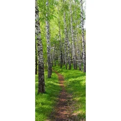 Poster de porte CHEMIN DES BOULEAUX dans la forêt 85 x 205 cm - Sticker préencollé