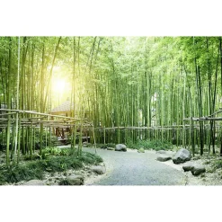 Poster intissé BAMBOUS VERTS paysage zen 90 x 60 cm - Décoration intérieure HD