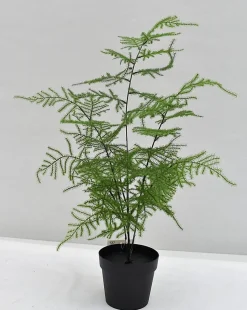 Pot Aspargus artificiel h.45 cm avec pot décoratif