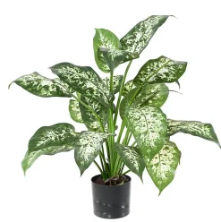 Pot Dieffenbachia artificiel feuillage vert réaliste