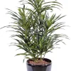 Pot Dracaena anita artificiel avec pot décoratif