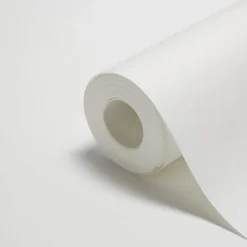 Revêment de rénovation sur intissé Diall blanc 50m 120g/m²