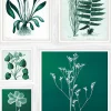 Set 5 tableaux Vinyl Way Dada Art feuilles vert L.90 x l.60 cm